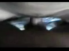 બિલાડીનું શિશ્ન બીપી ઇંગલિશ