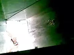એલિટ બીપી શેકસી વિડીયો મોકલો મોડેલ સર્વિસ